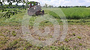 Rotary mower on small old tractor during operation on hayfield