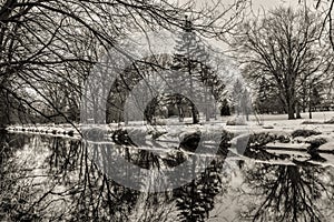 Rotary Park Reflections photo