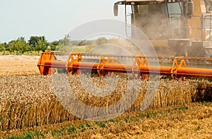 Rotary straw walker combine harvester cuts and threshes ripe wheat grain. Platform grain header with thresher reel