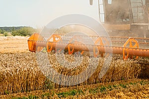 Rotary straw walker combine harvester cuts and threshes ripe wheat grain. Platform grain header with thresher reel