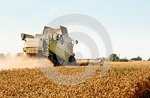 Rotary straw walker cut and threshes ripe wheat grain. Combine harvesters with grain header, wide chaff spreader reaping