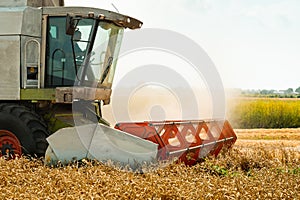 Rotary straw walker cut and threshes ripe wheat grain. Man in combine harvesters with grain header, wide chaff spreader