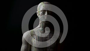 Rotating acupuncture mannequin model showing meridians of the human body in spin with moody high contrast lighting concept for