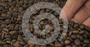 Rotating beans of coffee and a farmer`s hand. Farmer checks the grain. Close-up of a man`s hand picking up grain in his