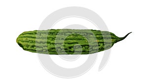 Rotating Bitter Melon White Background 01A (Looping)