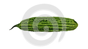 Rotating Bitter Melon White Background 01B (Looping)