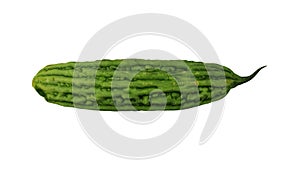 Rotating Bitter Melon White Background 01C (Looping)