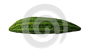 Rotating Bitter Melon White Background 02A (Looping)