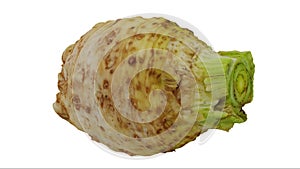 Rotating celery root on white background 01 c looping