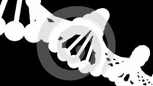 Rotating DNA molecule