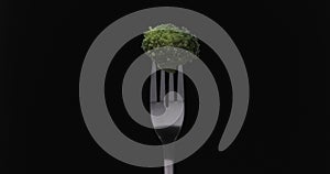 Rotating fork with cabbage on black background