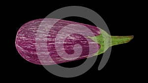 Rotating Graffiti Eggplant on Black Background 01A Looping