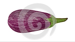 Rotating Graffiti Eggplant on White Background 01A Looping