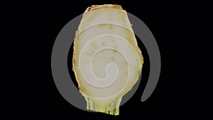 Rotating half celery root on transparent background 03 b looping with alpha channel