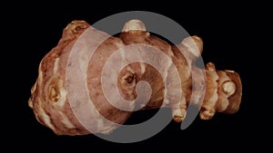 Rotating Jerusalem Artichoke on Transparent Background 03C Looping with Alpha Channel