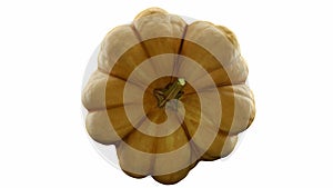 Rotating pumpkin on white background with alpha channel . 3d 4K