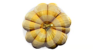 Rotating pumpkin on white background with alpha channel . 3d 4K