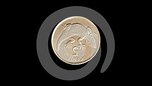 Rotating reverse of Kiribati coin 5 cents with image of a lizard. Isolated in black background.