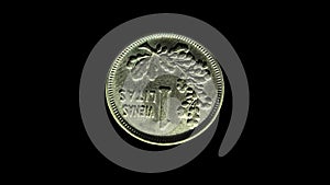 Rotating reverse of Lithuania coin 1 lit 1925 with inscription meaning ONE LIT. Isolated in black background.