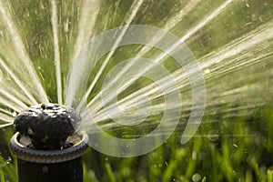 A rotating sprinkler spraying a water into the backyard
