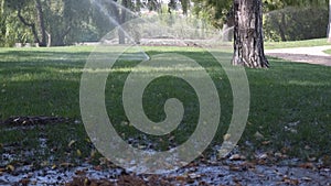 Rotating water sprinklers installed in public park with green grass lawn and trees