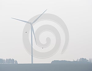 Rotating wind powered generator