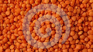 Rotation red lentils texture background, Dry orange lentil grains pattern,