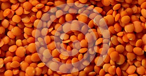 Rotation red lentils texture background, Dry orange lentil grains pattern, dal wallpaper,