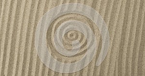 Rotation texture of circles and lines in the sand