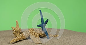 Rotation of three starfish sticking out of the sand. Isolated on a green background