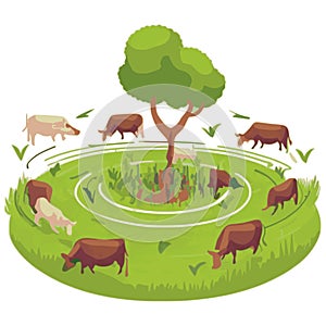 Rotational grazing cattle concept vector graphics