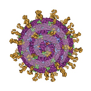 The atomic 3D Gaussian surface model of human rotavirus virion photo