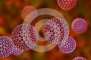 Rotaviruses. Molecular model of a rotavirus which causes diarrheal infection in children