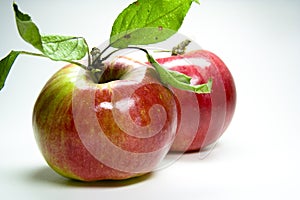 Roter Apfel photo