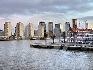 Roterdam city- Architectural capital with harbour and Erasmus Bridge, Rotterdam Skylines