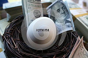 Roth IRA Nest Egg High Quality photo