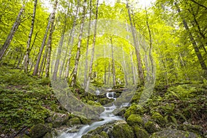 Rothbach Waterfall near Konigssee lake in Berchtesgaden National Park, Germany