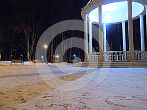 The Rothond in the park.