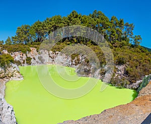 Roto karikitea lake at Wai-O-Tapu in New Zealand