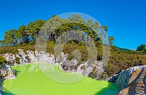 Roto karikitea lake at Wai-O-Tapu in New Zealand photo