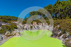 Roto karikitea lake at Wai-O-Tapu in New Zealand photo