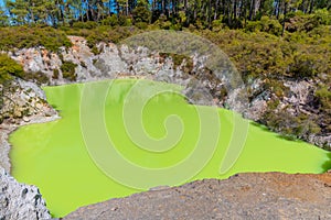 Roto karikitea lake at Wai-O-Tapu in New Zealand photo