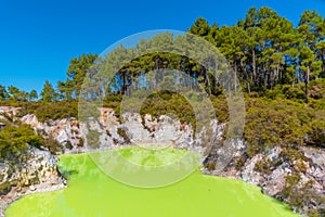 Roto karikitea lake at Wai-O-Tapu in New Zealand photo