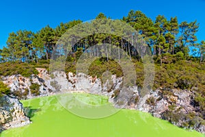 Roto karikitea lake at Wai-O-Tapu in New Zealand photo