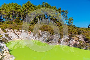 Roto karikitea lake at Wai-O-Tapu in New Zealand photo