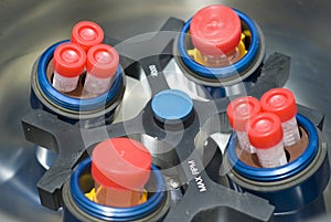 Rotor of centrifuge