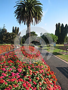 Rotorua Botanical Gardens