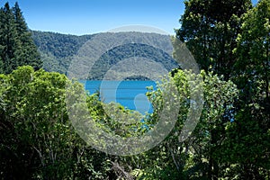 Rotorua Lakes District