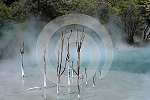 Rotorua New Zealand hot springs