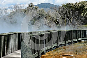 Rotorua New Zealand hot springs